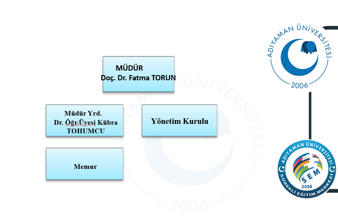 adyüsem birim organizasyon şeması.........jpg